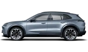Cayenne Electric